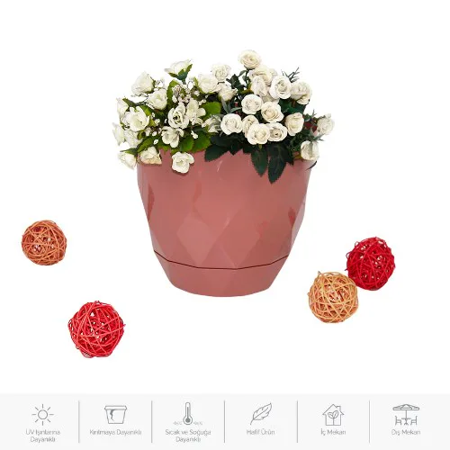 1 no yakamoz saksı tk k451 1 no yakamoz saksi tk k451 2
