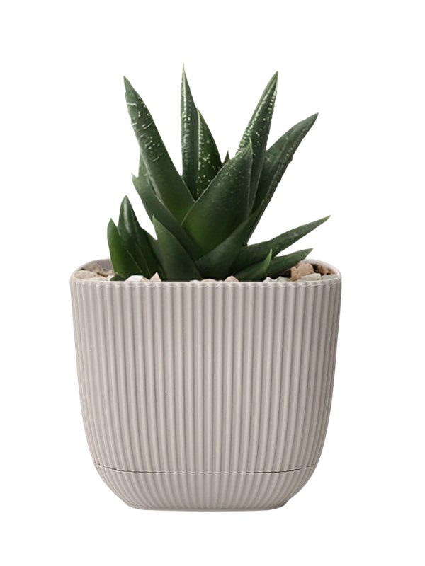4 no mercan kare saksı 4 litre k384 4 no mercan kare saksı 4 litre k384 – dayanıklı plastik kare çiçek saksısı