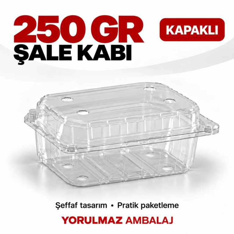 Şeffaf kapaklı şale kabı