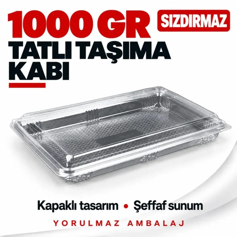 Sızdırmaz tatlı taşıma kabı